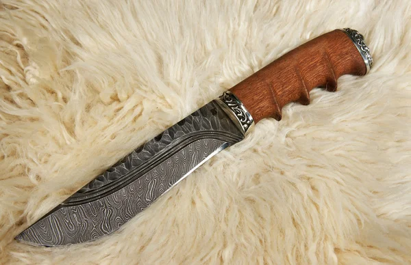 羊の皮膚に狩猟用ナイフ — ストック写真