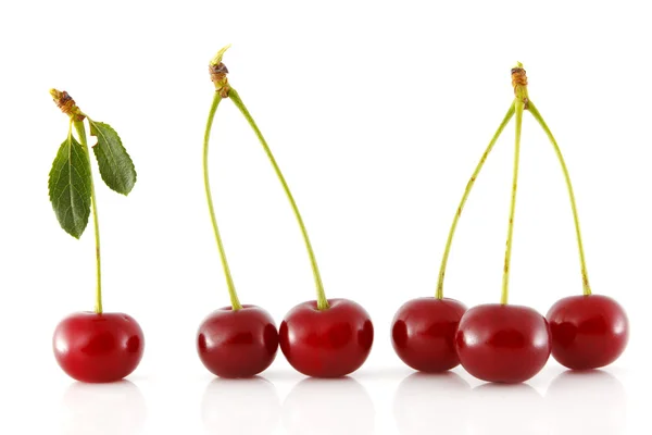 Adjacent cherries with stem — Stock Photo, Image