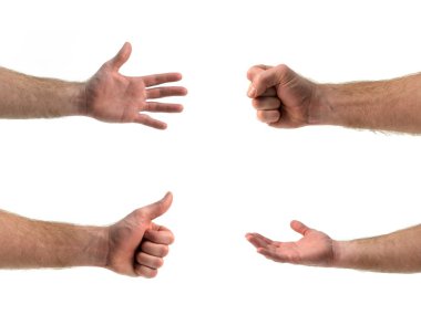 Hands clipart