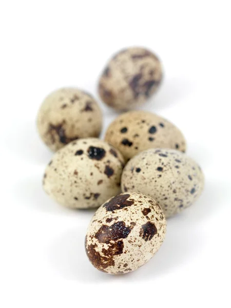 stock image Quail Eggs