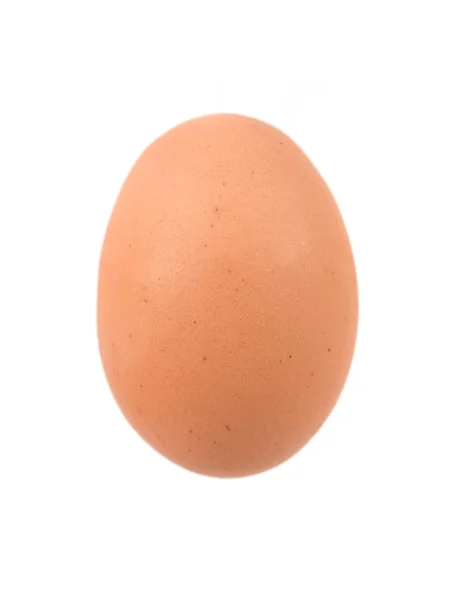 Egész tojás — Stock Fotó