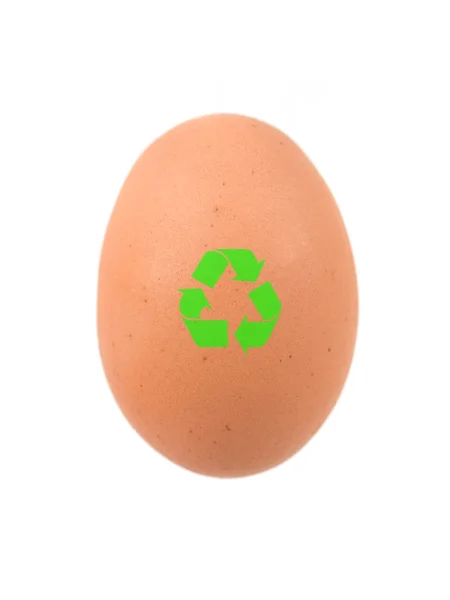 Recycled Egg — Stock Photo, Image