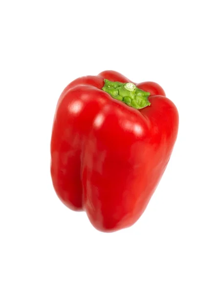 Red Capsicum — Stock Photo, Image