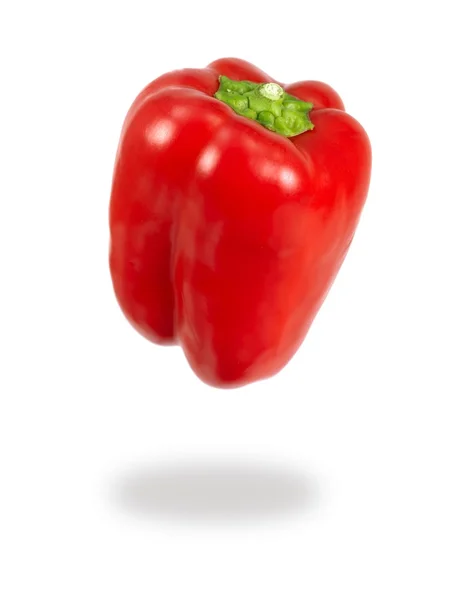 Red Capsicum — Stock Photo, Image