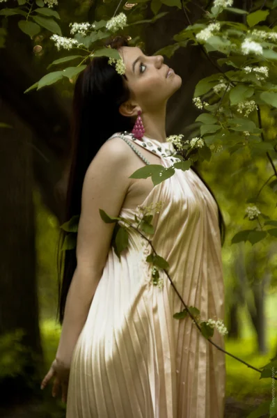 Het mooie meisje in bos — Stockfoto