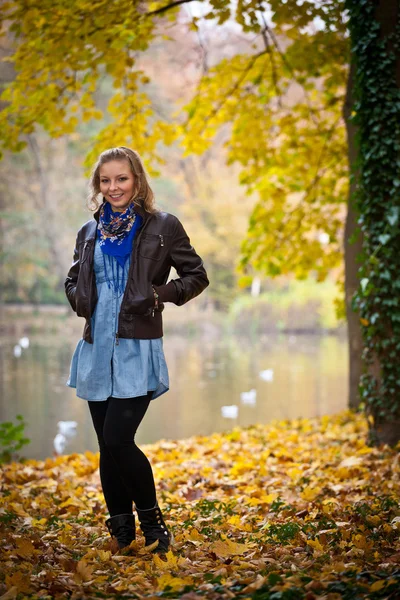 Chica en el parque de otoño de oro — Foto de Stock