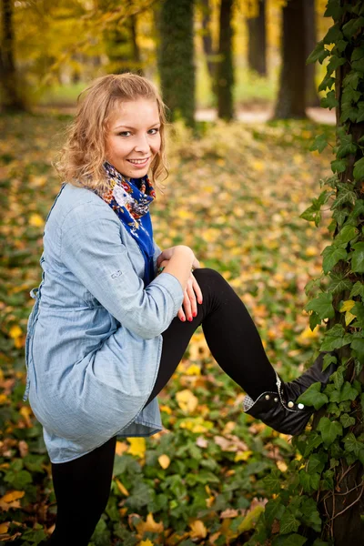 Genç Beyaz öğrenci kız altın sonbahar Park — Stok fotoğraf