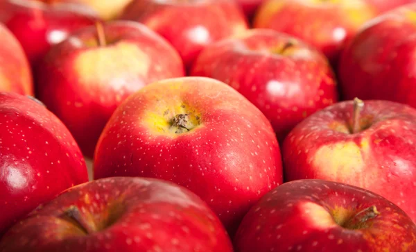 stock image Fresh red juicy natural apples