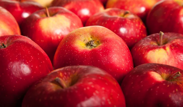 stock image Fresh red juicy natural apples