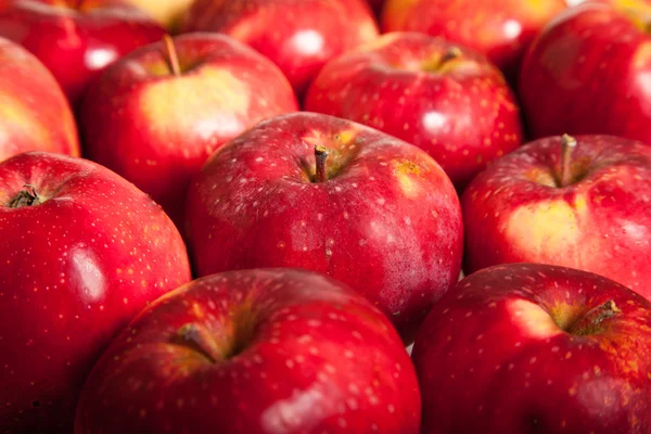 stock image Fresh red juicy natural apples