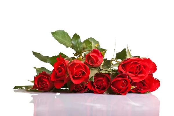 Rosas vermelhas sobre fundo isolado branco — Fotografia de Stock