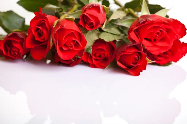 Röda rosor på vit isolerad bakgrund — Stockfoto