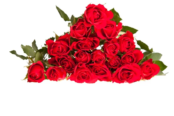 Червоні Троянди Білому Ізольованому Фоні День Святого Валентина — стокове фото