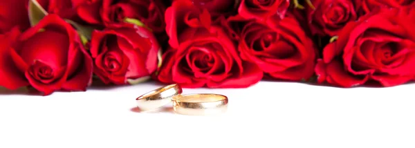 Dia dos Namorados rosas alianças de casamento — Fotografia de Stock