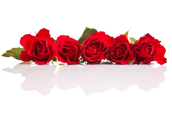 Rosas rojas sobre fondo blanco aislado —  Fotos de Stock