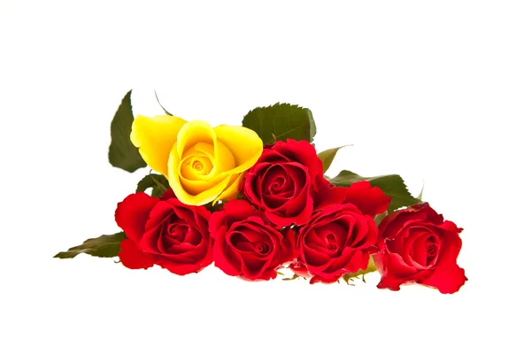 Czerwone róże na białym, izolowanym tle — Zdjęcie stockowe