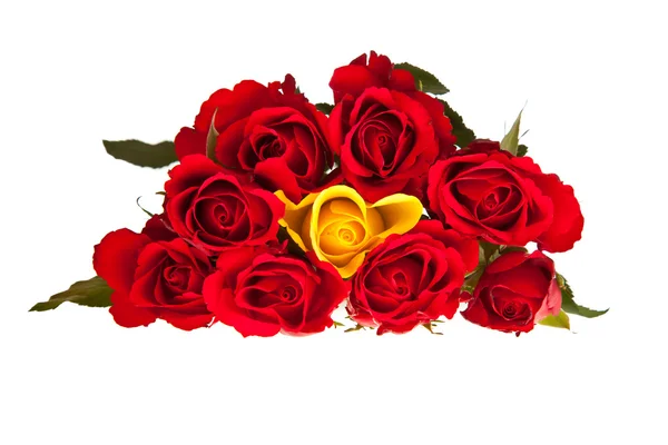 Rosas Vermelhas Fundo Isolado Branco Dia Dos Namorados — Fotografia de Stock