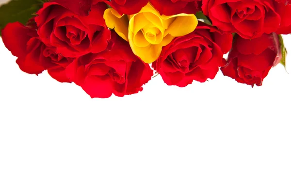 Beyaz Izole Arka Plan Sevgililer Gününde Kırmızı Gül — Stok fotoğraf