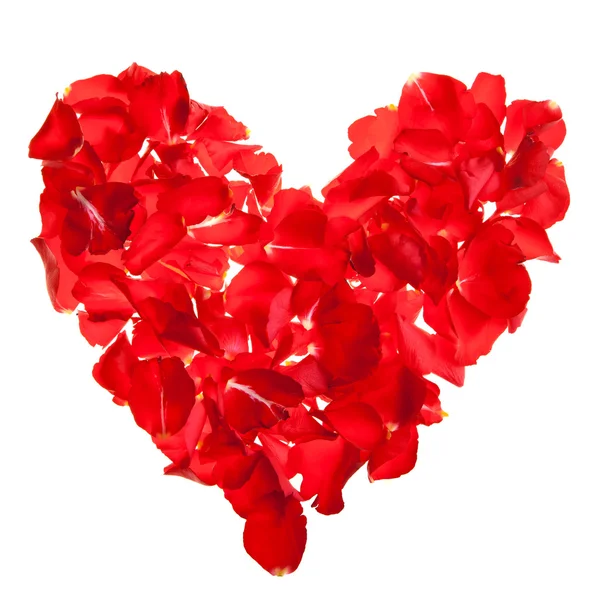 Pétales Roses Rouges Saint Valentin — Photo