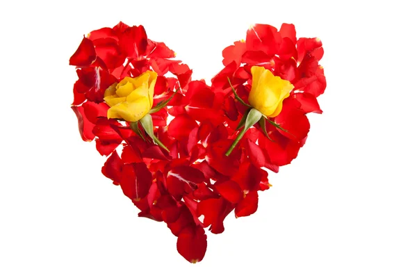 Red Roses Petals Valentine Day — Stock Photo, Image