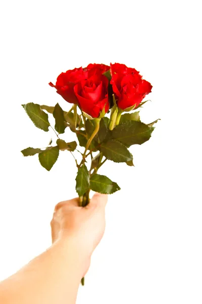 Manlig hand ge rosor på vit isolerade bakgrund — Stockfoto