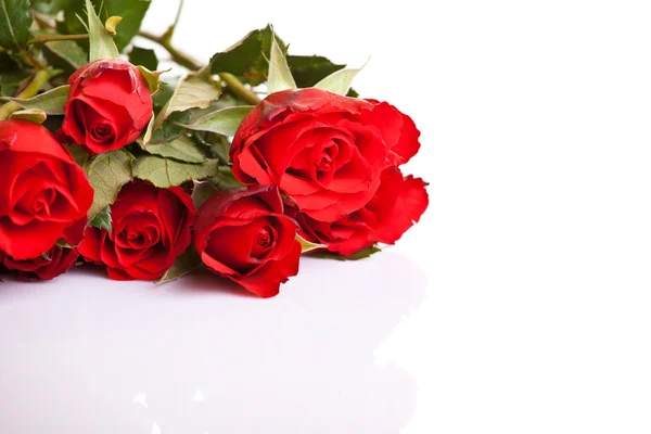 Roses Rouges Sur Fond Blanc Isolé Saint Valentin Images De Stock Libres De Droits