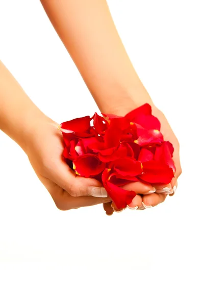 Pétales de rose rouge isolés sur blanc - Saint Valentin — Photo