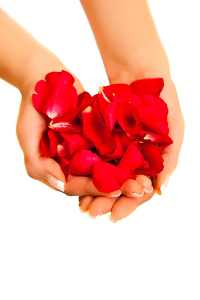 Pétalas de rosa vermelhas isoladas no branco - Dia dos Namorados — Fotografia de Stock