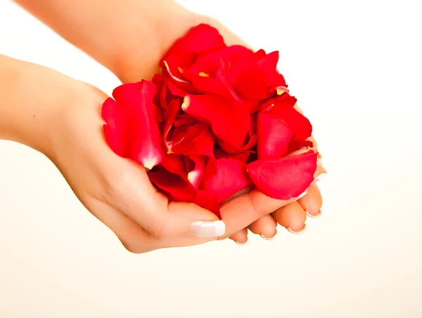バレンタインの日で隔離赤いバラの花びら — ストック写真