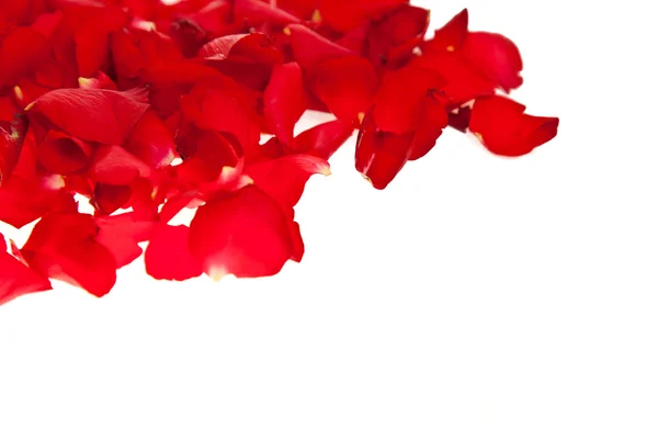 Κόκκινα Ροδοπέταλα Απομονωθεί Λευκό Ημέρα Του Αγίου Βαλεντίνου — Φωτογραφία Αρχείου