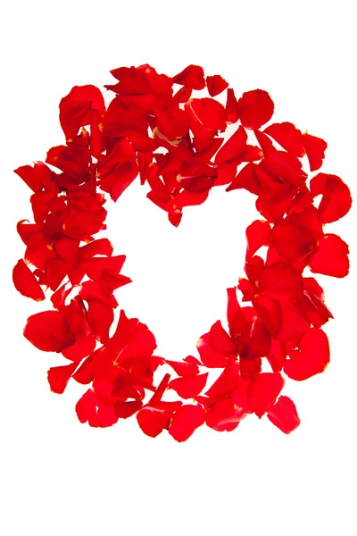 Pétales de rose rouge isolés sur blanc - Saint Valentin — Photo