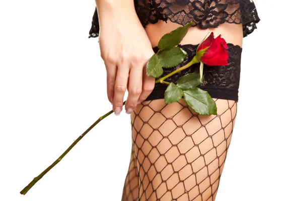 Жіночі Ноги Ажурних Панчохах Червоною Трояндою Ізольовані Білому — стокове фото
