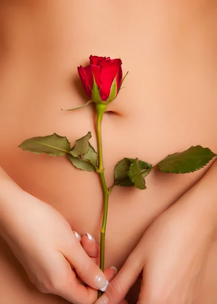 持有红玫瑰和裸体白种女人 免版税图库图片