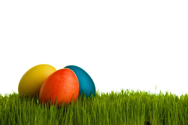Uova di Pasqua e polli su erba verde su dorso bianco isolato — Foto Stock