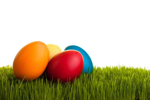 Paskalya yumurtaları ve yeşil çimenlerin üzerinde beyaz izole backgr tavuk — Stok fotoğraf
