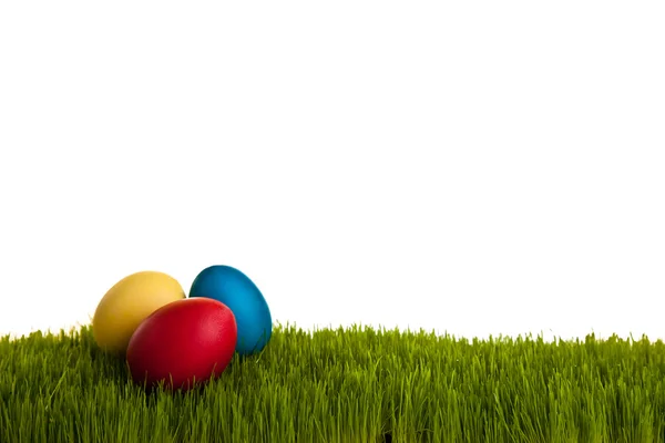 Huevos de Pascua y pollos sobre hierba verde sobre blanco aislado backgr —  Fotos de Stock