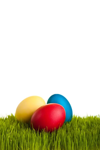 Huevos de Pascua y pollos sobre hierba verde sobre blanco aislado backgr —  Fotos de Stock