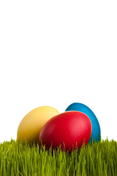 Huevos Pascua Pollos Sobre Hierba Verde Sobre Fondo Blanco Aislado —  Fotos de Stock