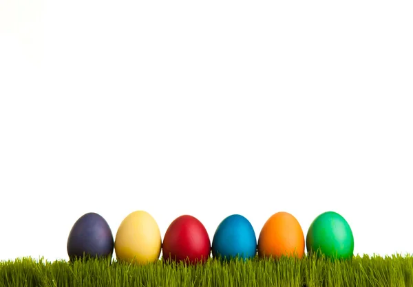 Paskalya Yumurtaları Tavuklar Yeşil Çimlerde Beyaz Izole Arka Planda — Stok fotoğraf