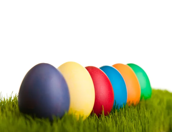 Velikonoční vajíčka a kuřata na zelené trávě na bílém pozadí izolované — Stock fotografie