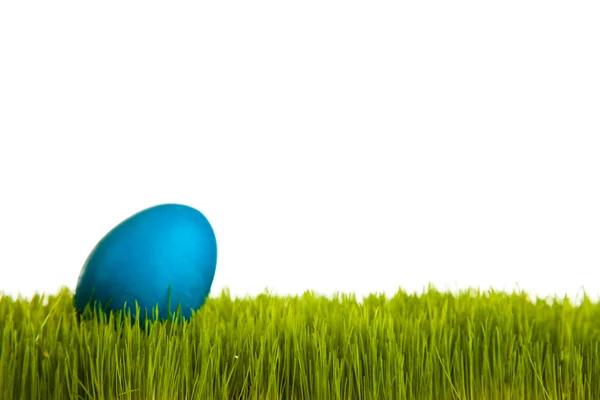 Ostereier Und Hühner Auf Grünem Gras Auf Weißem Hintergrund — Stockfoto