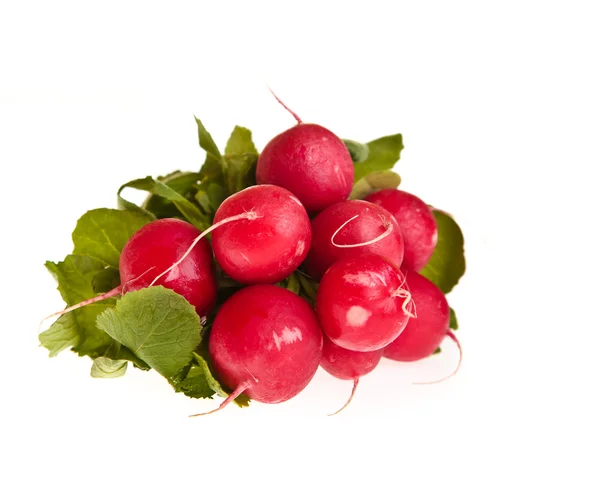 stock image Radish isolated on white