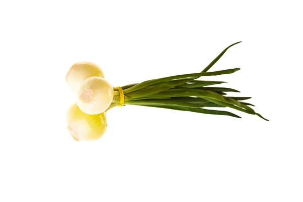 Cipolla isolata su bianco — Foto Stock