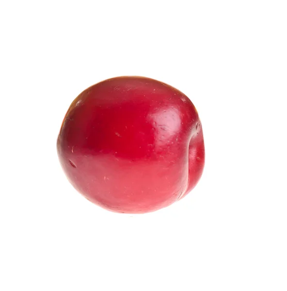 Stock image Plum on white isolated background