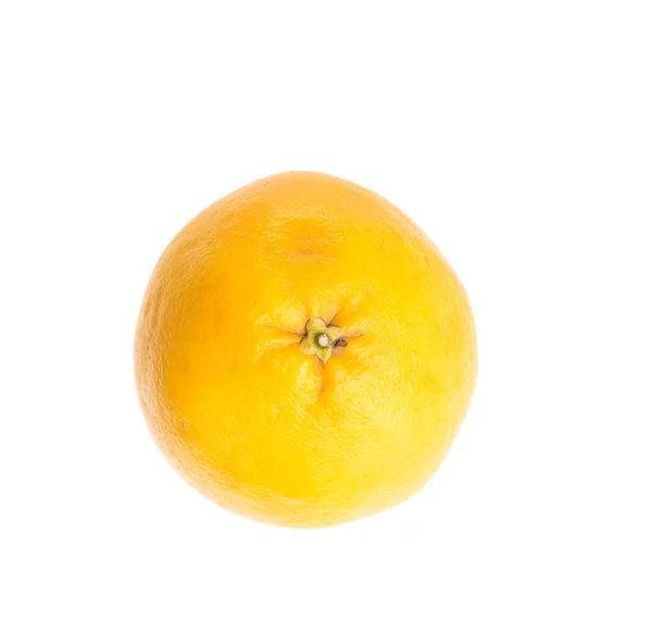 Grejfrut biały na białym tle — Zdjęcie stockowe