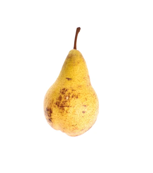 Pear fruit isolated on white — Stock Photo, Image