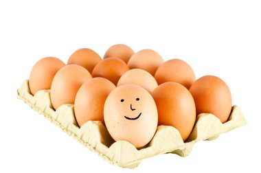 Brown eggs clipart