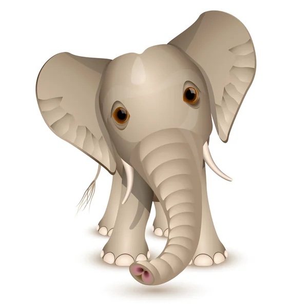 Lite elefant — Stock vektor