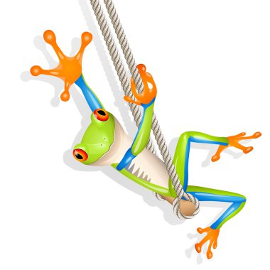 Tree frog on a swing clipart