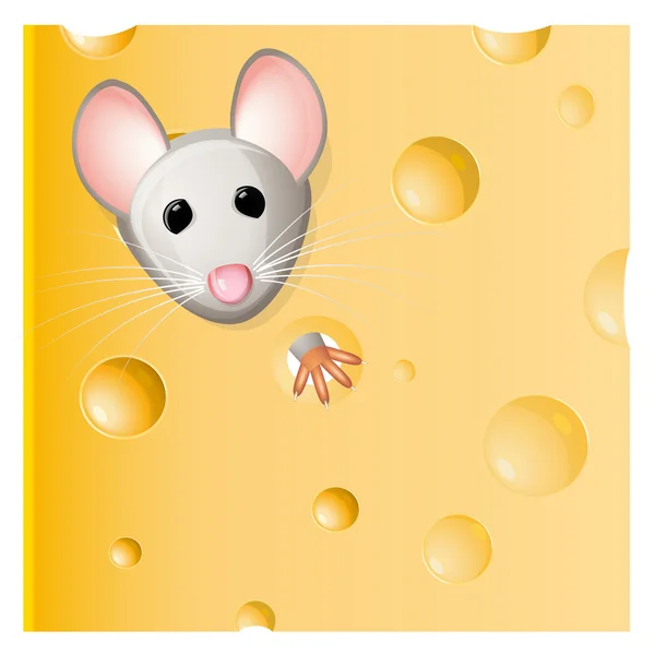 Un ratón comiendo un trozo de queso — Vector de stock